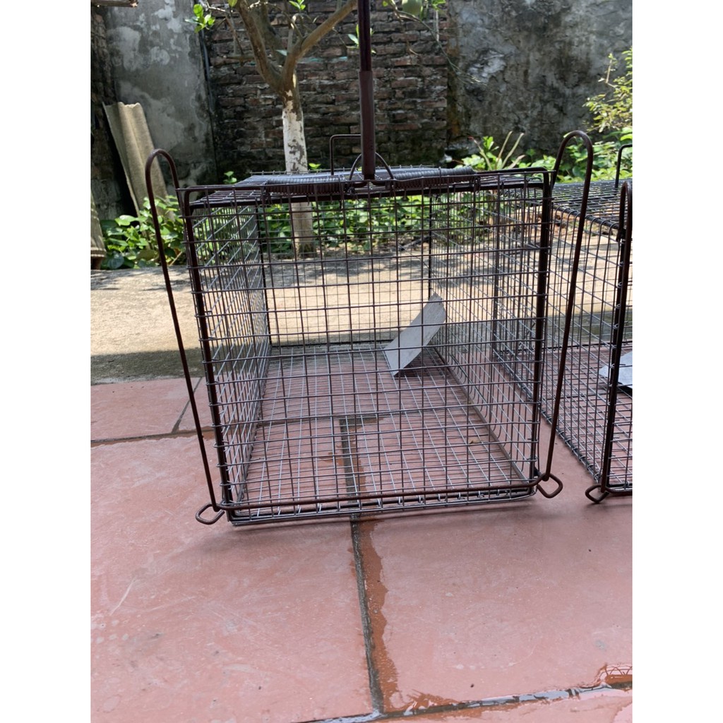 LỒNG SẮT CỨNG CÁP CHUYÊN DÙNG BẪY MÈO VÀ ĐỘNG VẬT RỪNG CỰC DỄ VÀ AN TOÀN HIỆU QUẢ CỰC CAO chất 6hsfa8