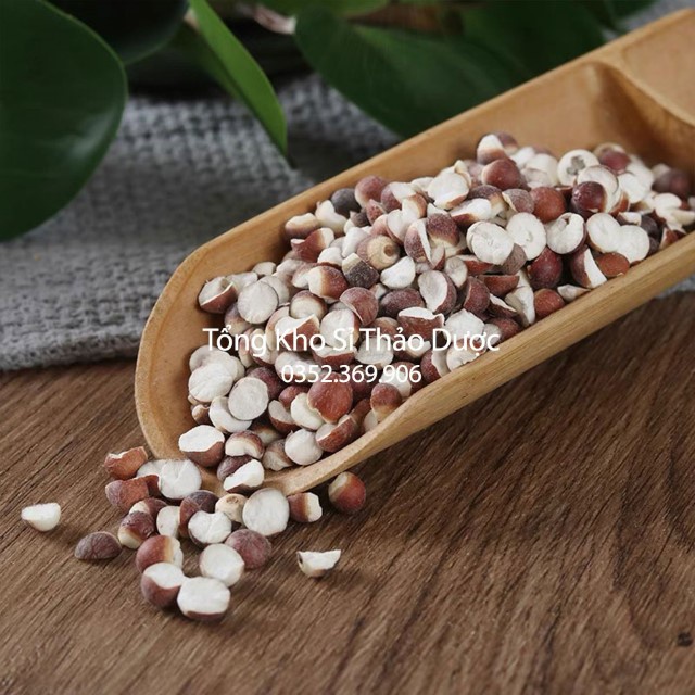 Khiếm Thực 100g