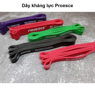 Dây Kháng Lực Power Band Proesce cao su cao cấp phụ kiện tập gym