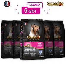 Combo 5 thức ăn cho chó trưởng thành Ganador vị cá hồi & gạo Salmon & Rice 400 gram/gói