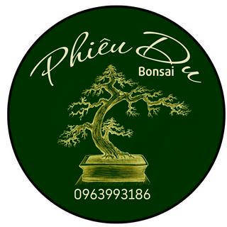 Phiêu Du Bonsai