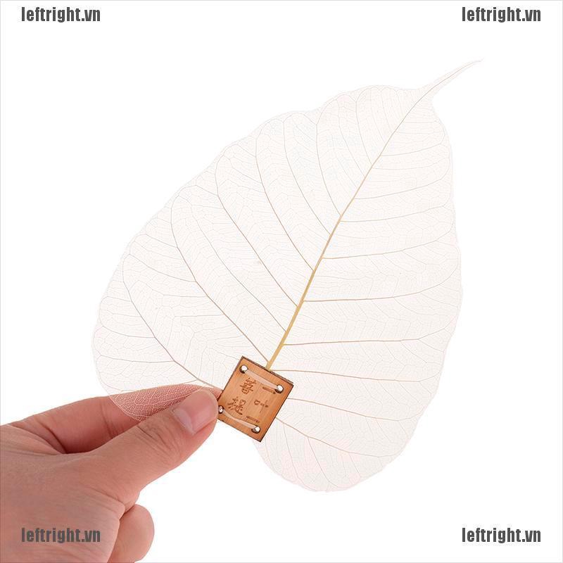 Dụng Cụ Lọc Trà Hình Chiếc Lá Phong Cách Phật Giáo