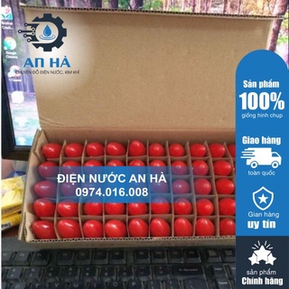 ĐÈN THỜ TRÁI ỚT (50 cái bóng đèn ông địa )