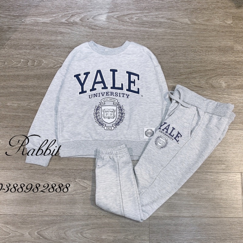 Bộ nỉ Primark Yale