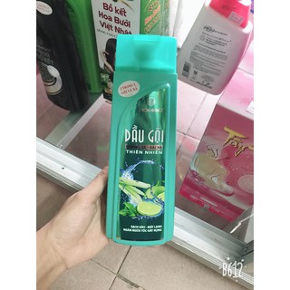 Dầu gội chanh sả bạc hà thorakao