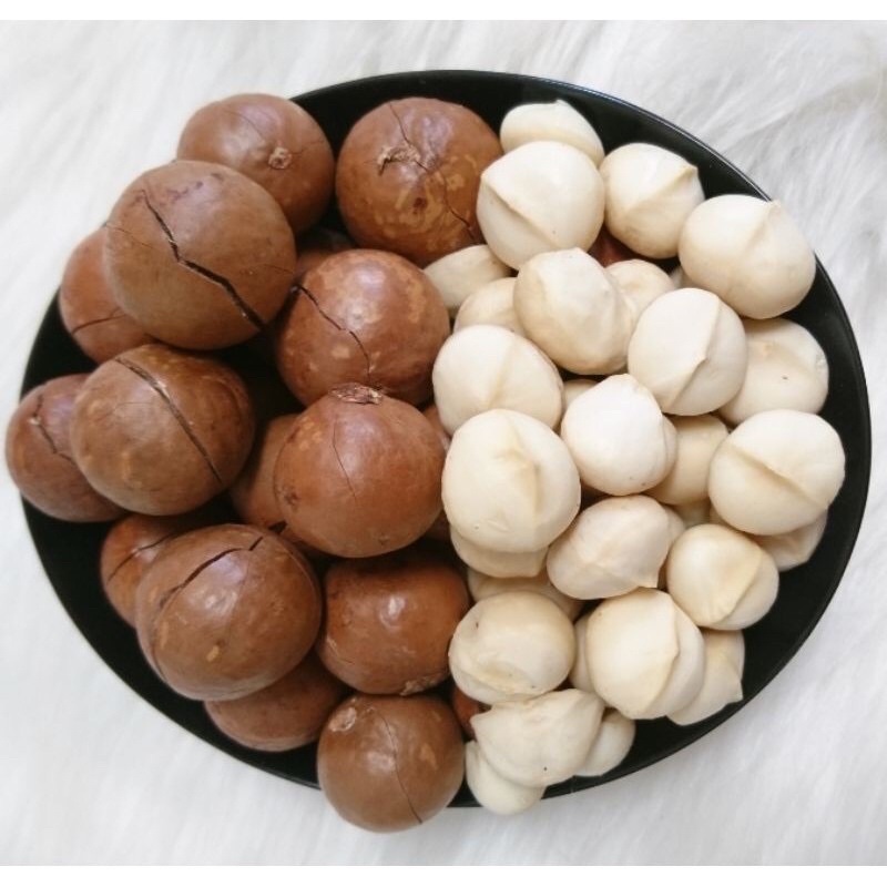 500Gr Hạt Macca Sạch ĐăkLăk (sấy lạnh) nhà trồng loại 1 có ATVSTP hạt mắc ca