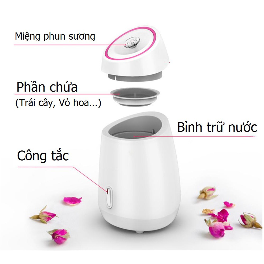 Máy phun sương tạo ẩm bằng trái cây cánh hoa kiêm Máy xông mặt nguồn 220V mã 40504