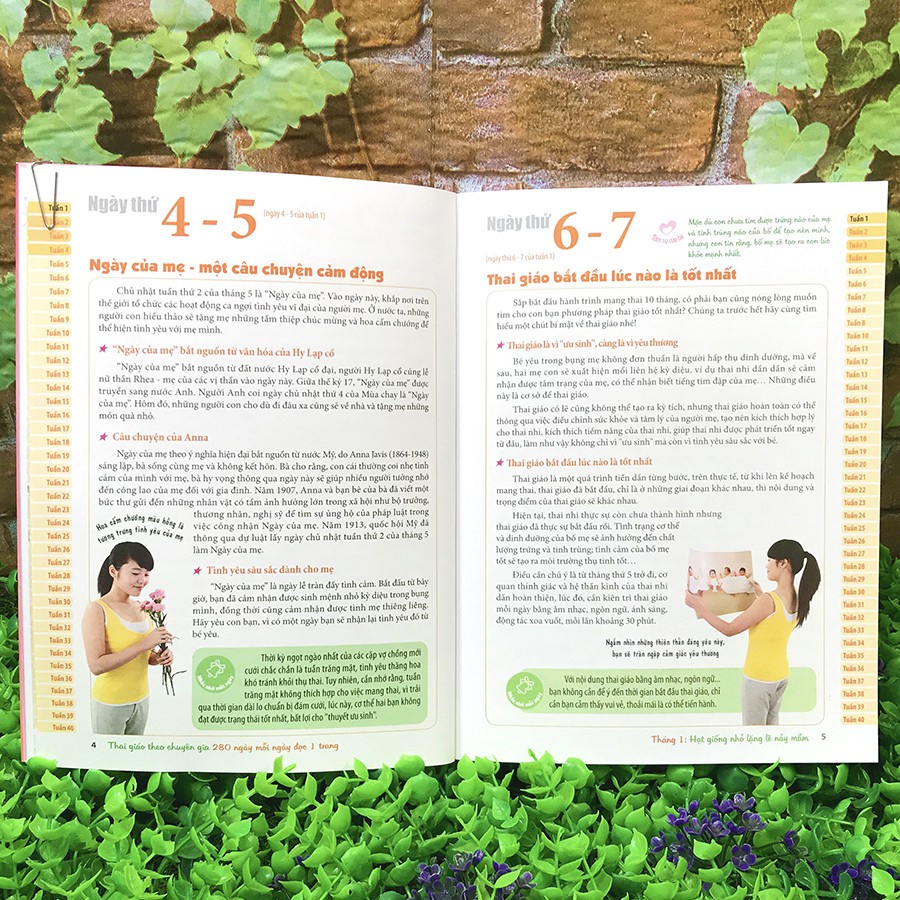 Sách: Thai Giáo Theo Chuyên Gia - 280 Ngày Mỗi Ngày Đọc 1 Trang