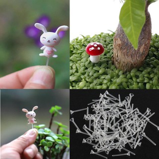 Bộ 50 que nhựa cố định cây cảnh