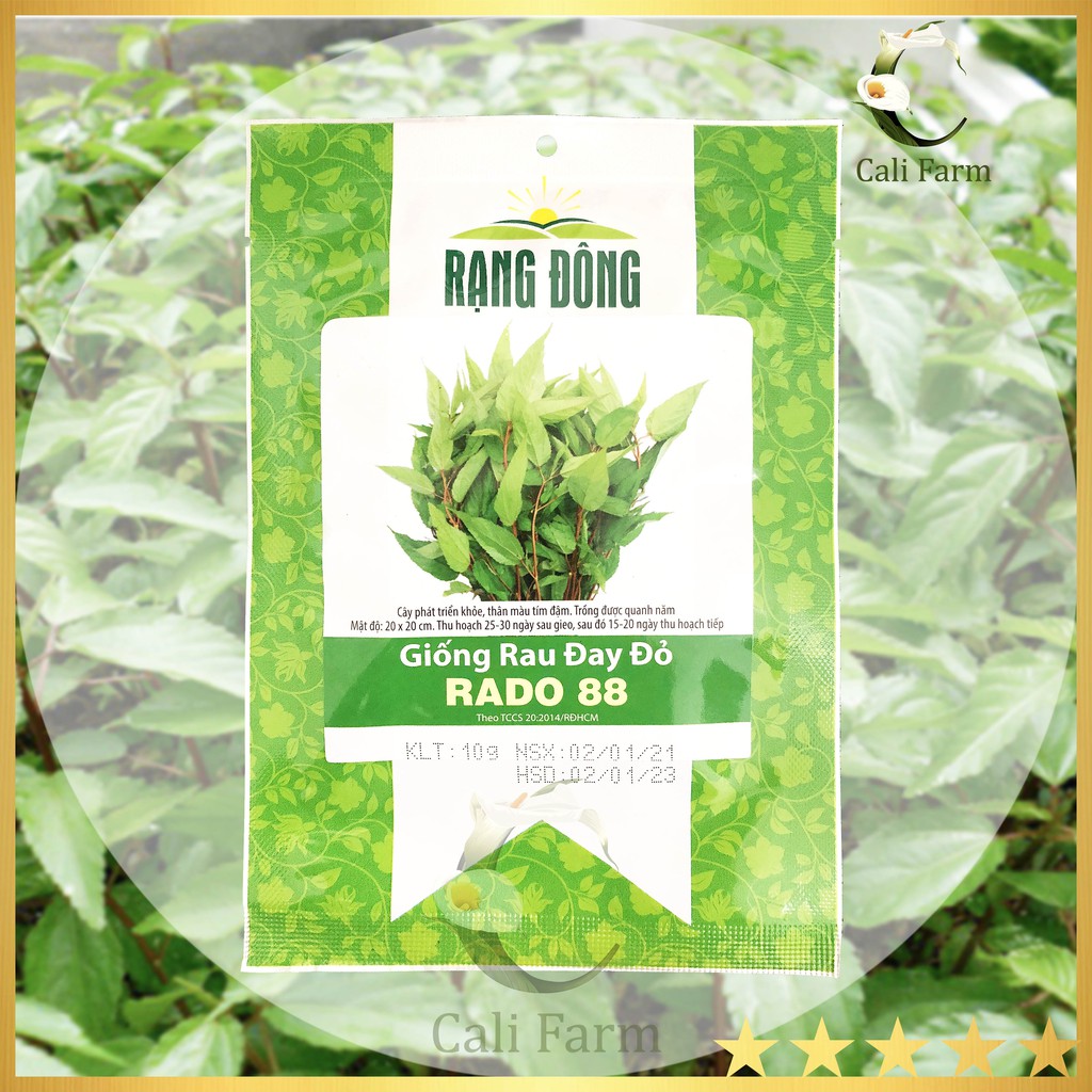 Hạt giống Rau Đay Đỏ Rado 88 Dễ Trồng, Nhiều Dinh Dưỡng (10gr)