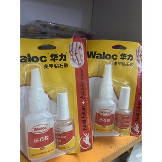Keo dán móng waloc