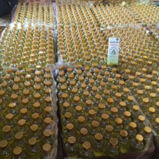 Tinh dầu tràm Huế 100ml