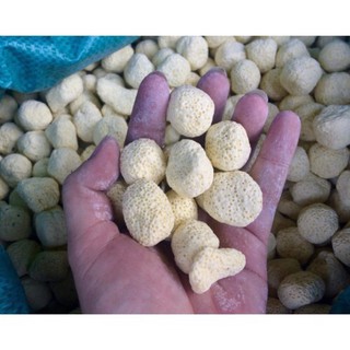 100gram Sứ bi vàng lọc nước cho bể cá cảnh.