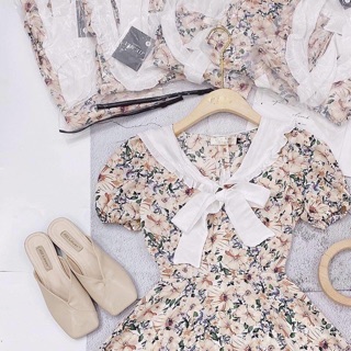 Đầm hoa xoè cổ bèo