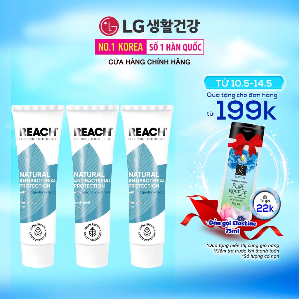 Combo 3 Kem đánh răng kháng khuẩn Reach Flouride Fresh Mint Hương Sảng Khoái