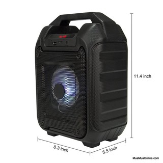 Loa bluetooth karaoke B31
