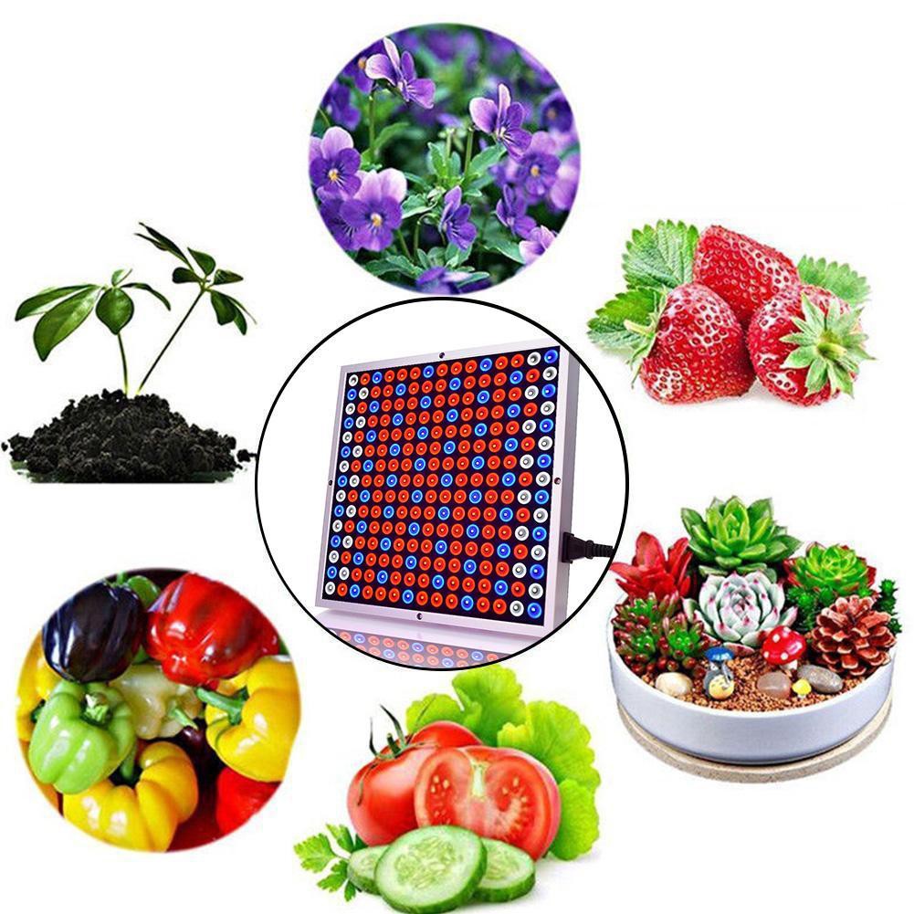 Bảng Đèn Led Kích Thích Tăng Trưởng Cho Thực Vật 600w 255 Bóng