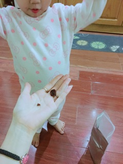 Nho sấy Ninh Thuận