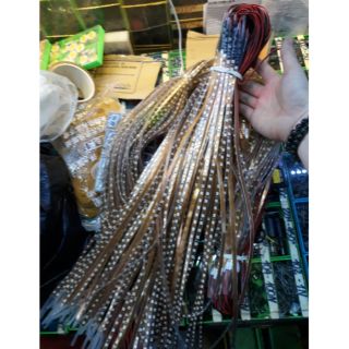 Dây led nháy nhiều màu 50cm và 1m