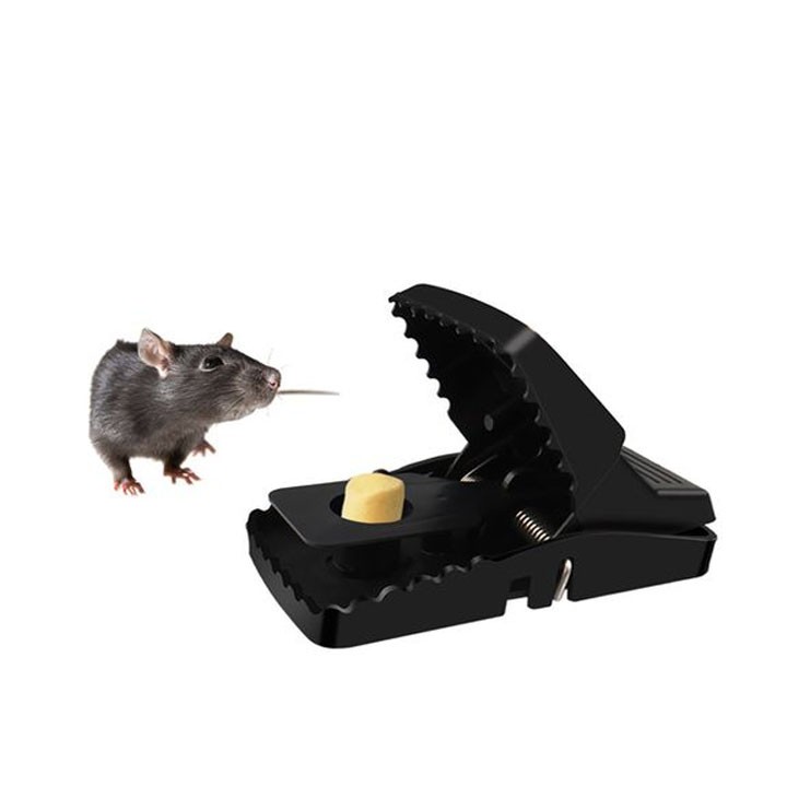 Bẫy chuột nhựa thông minh không độc hại
