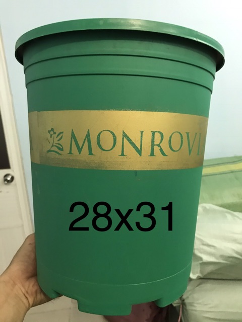 Chậu nhựa trồng cây Monrovia 28x31cm có màu xanh và đen