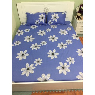 Bộ ga gối cotton poly chun m8