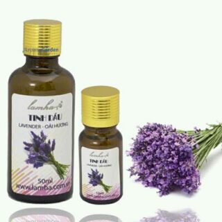 Tinh dầu oải hương