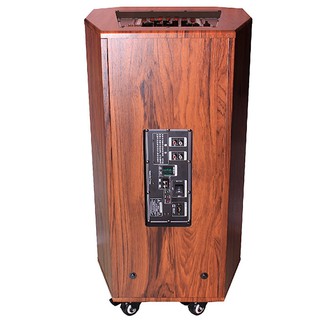 [Mã ELHACE giảm 4% đơn 300K] Loa kéo Temeisheng QX-1218