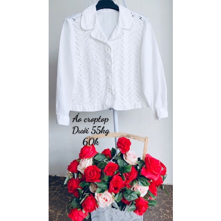 Áo vin dáng croptop