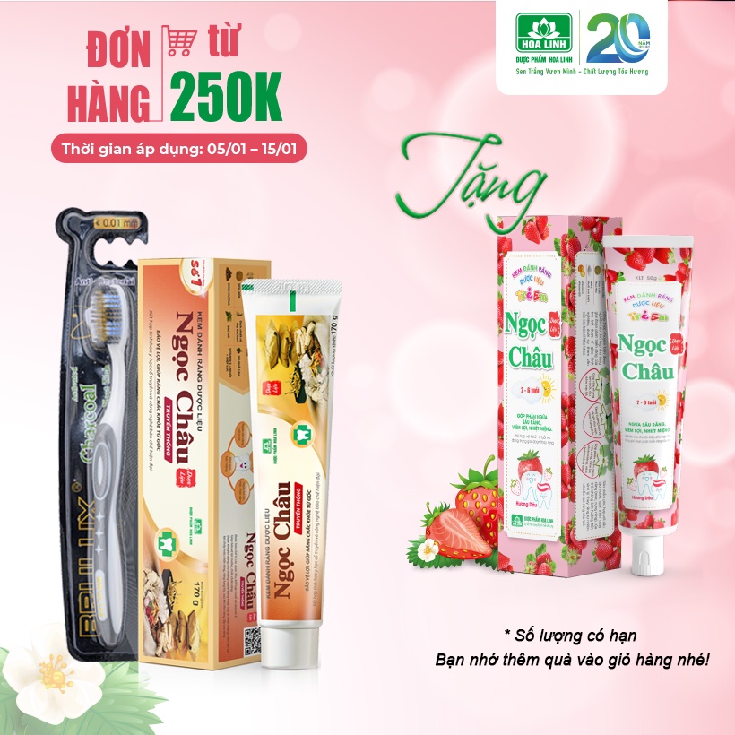 {MỚI} Comnbo Kem đánh răng dược liệu Ngọc Châu 170g + Bàn chải Brulux (Tiết kiệm 14,000đ)