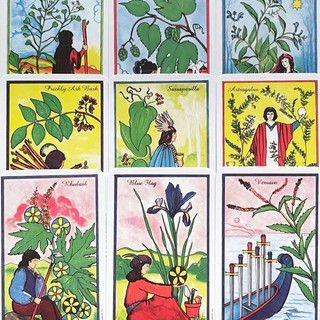Bộ bài Herbal Tarot Size Thường A6