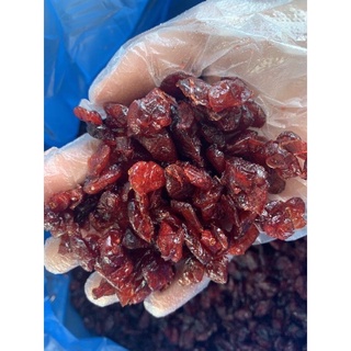 NAM VIỆT QUẤT