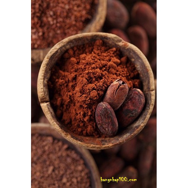 100g BỘT CACAO BENDICO CAO CẤP INDONESIA