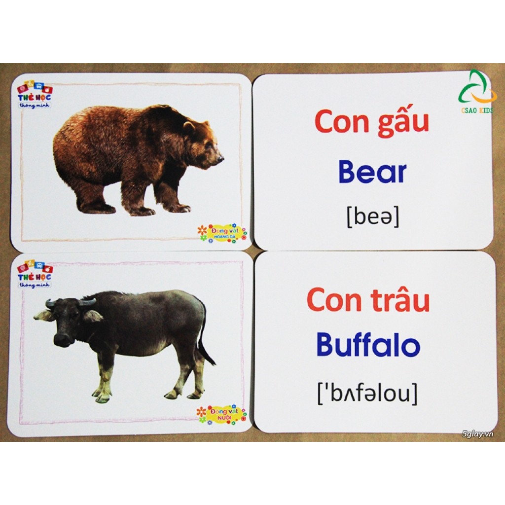 Flashcard Thẻ Học Từ Vựng Cho Bé Song Ngữ Anh Việt 16 Chủ Đề 416 Thẻ