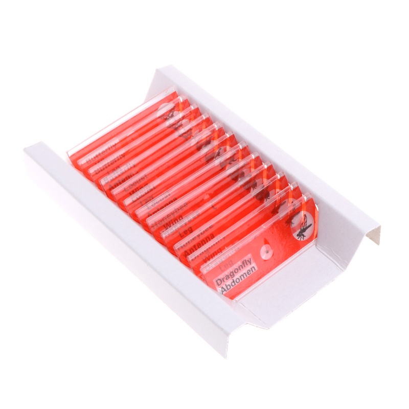 Bộ 12 Mẫu Vật Dụng Kính Hiển Vi Cho Học Sinh Sinh Viên