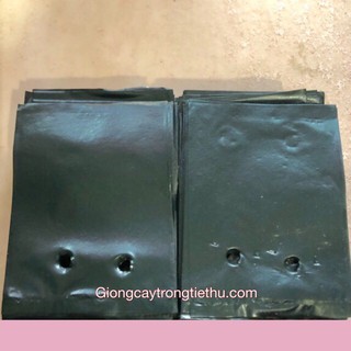 Chuyên phân phối [HOT] TÚI BẦU ƯƠM CÂY GIỐNG (8 x 11cm) hàng (NEW).