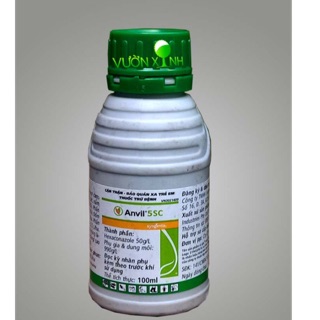 Thuốc Đặc Trị Nấm Hoa Hồng, Cây Kiểng.- Thuốc Trị Nấm - Thuốc Nấm - Trị Nấm Hoa Cây Kiểng Phong Lan