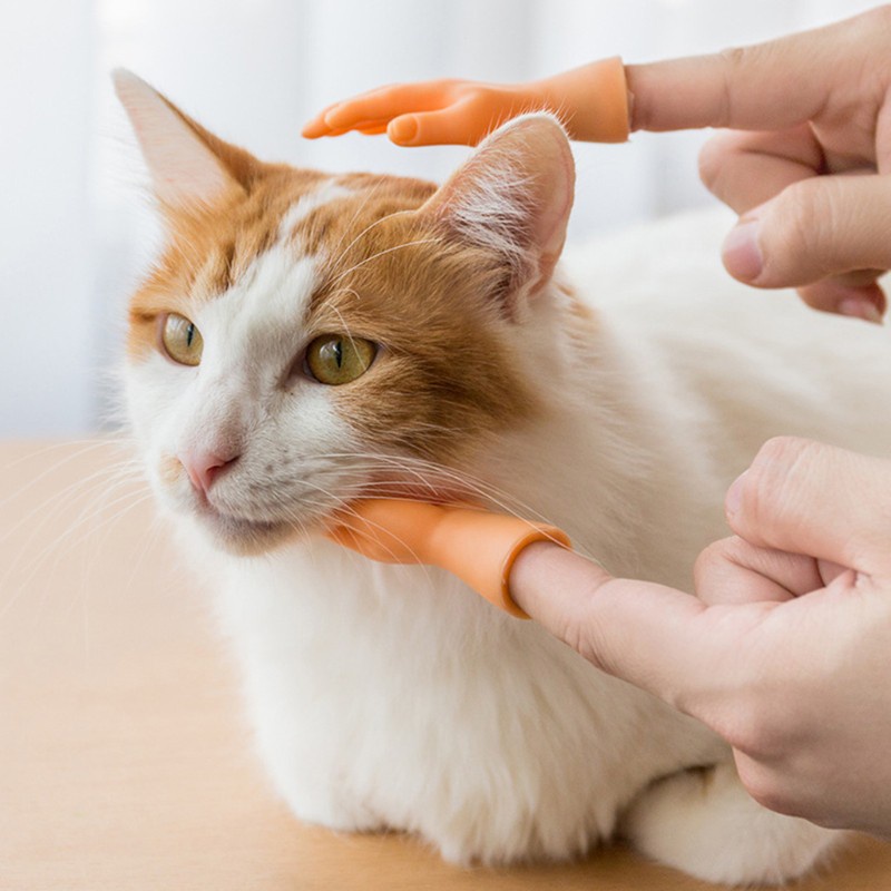Đồ chơi hình bàn tay mini đeo ngón tay vui nhộn dùng mát xa dành cho mèo cưng