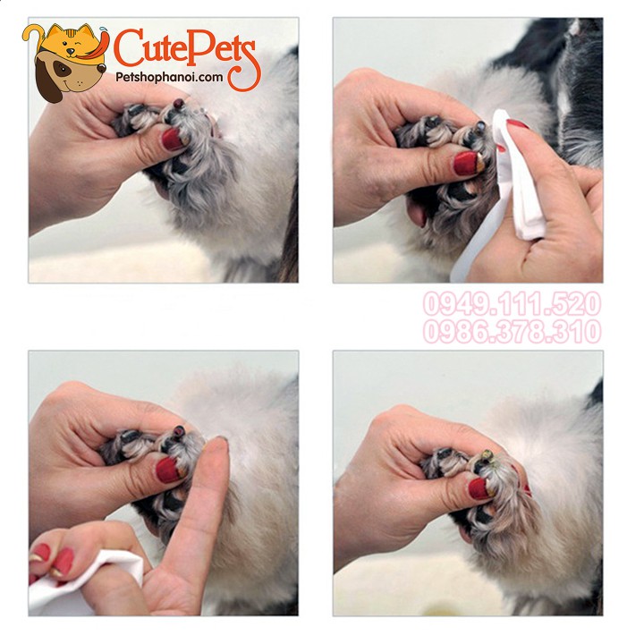 Bột cầm máu Bioline 14g Dành cho chó mèo - CutePets