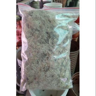Dớn trắng Chile, gói 200g