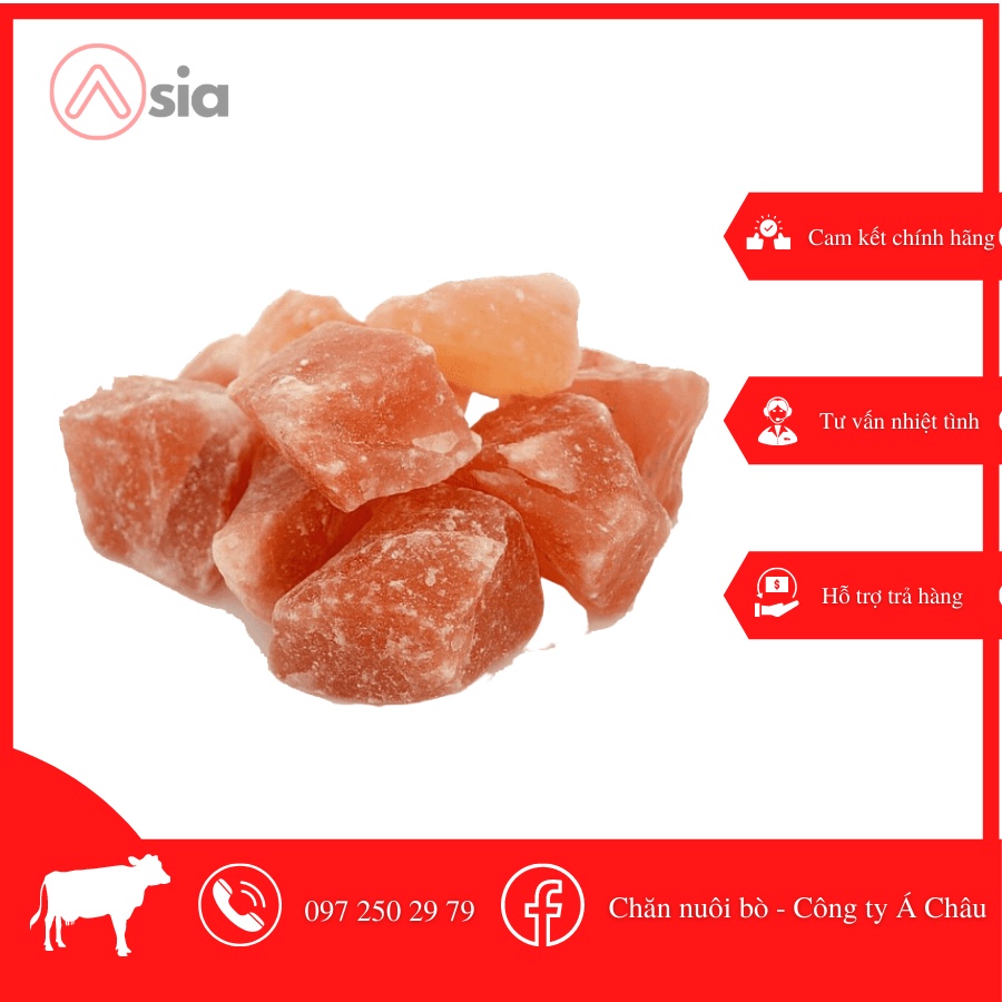 Đá muối liếm Himalaya