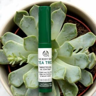 Gel chấm mụn the body shop tea tree