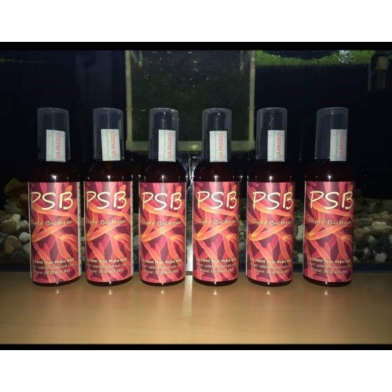 VI SINH PSB , VI SINH CHUYÊN CHO CÁ KOI