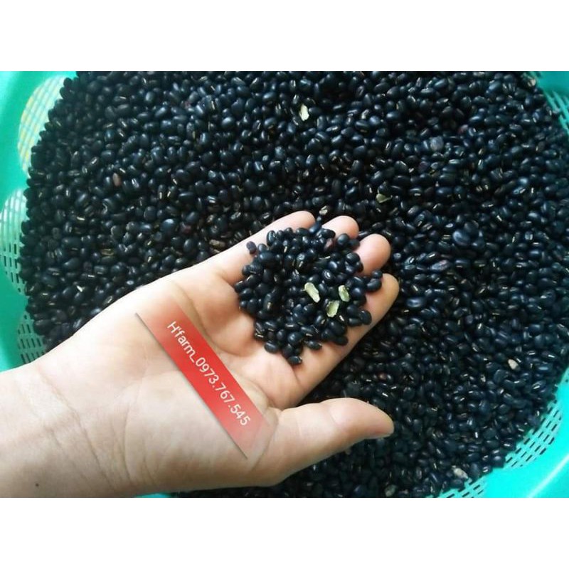 1kg Đậu Đen Xanh Lòng Rang ( Đậu quê, hạt nhỏ)_H.Farm