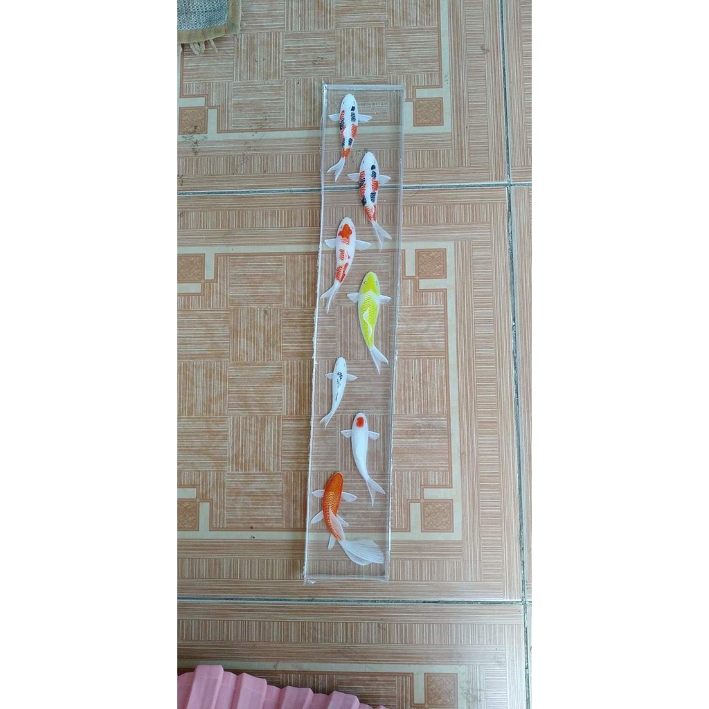 phôi cá 3d