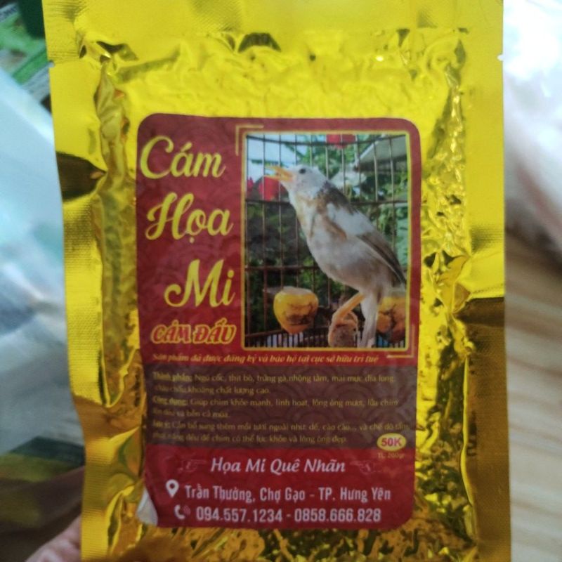 Hoạ mi Quê Nhãn đấu