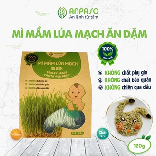 Mì Ăn Dặm Cho Bé Hữu Cơ Mầm Lúa Mạch Organic Anpaso BLW