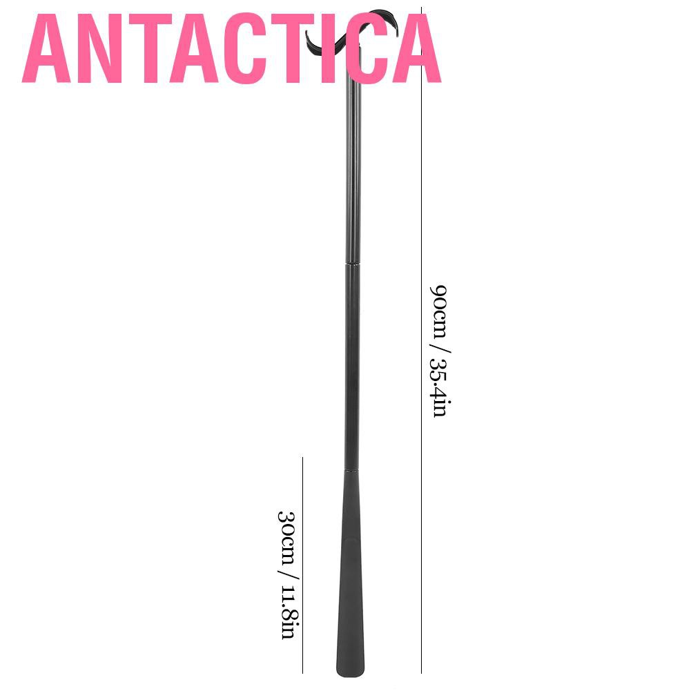 Antactica Single Face Makeup Brush Loose Powder Contour Cosmetic Blush