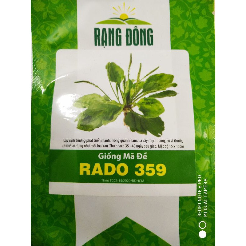Hạt giống Mã đề 1gr❤️FREESHIP XTRA❤️