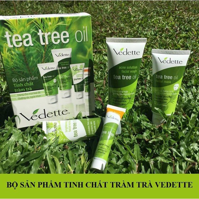 Bộ Dưỡng Da Ngừa Mụn Chiết Xuất Từ Tràm Trà Tea Tree Oil Vedette (Hộp 4 Tuýp)
